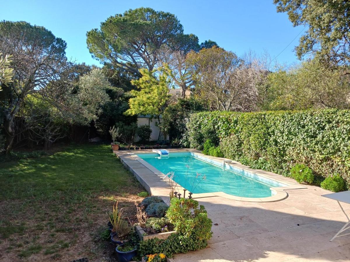 Studio Charmant Et Calme Villeneuve Les Avignon Entree Et Cour Independantes Climatisation Piscine Parking Eksteriør bilde