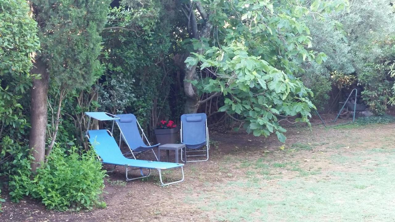 Studio Charmant Et Calme Villeneuve Les Avignon Entree Et Cour Independantes Climatisation Piscine Parking Eksteriør bilde